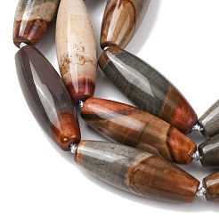 Natural America Picture Jasper Beads Strands&nbsp;G-L654-G03-01
