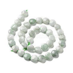 Natural Myanmar Jade/Burmese Jade Beads Strands&nbsp;G-C238-12A