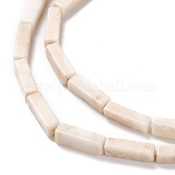 Natural Petrified Wood Beads Strands&nbsp;G-G837-20