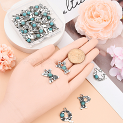 26Pcs 26 Styles Synthetic Turquoise & Alloy Pendants&nbsp;FIND-YW0006-63