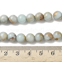 Natural Shoushan Stone Beads Strands&nbsp;G-B155-A01-8mm