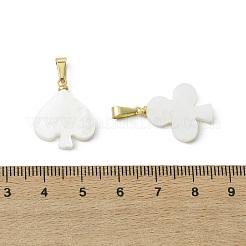 4Pcs 4 Stlyels Natural Freshwater Shell Pendants&nbsp;PALLOY-JF05614-02