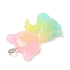 Translucent Resin Pendants&nbsp;RESI-G069-03C