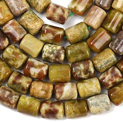 Natural Dragon Blood Jasper Beads Strands&nbsp;G-S396-03C