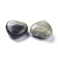 Natural Black Silver Leaf Jasper Heart Love Stone&nbsp;G-K416-04C-01