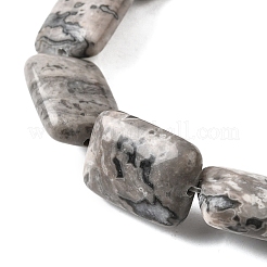 Natural Map Stone Beads Strands&nbsp;G-S386-A13