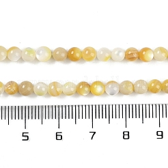 Natural Trochus Shell Beads Strands&nbsp;BSHE-H109-12B