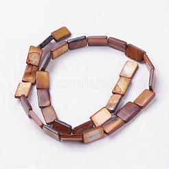 Natural Freshwater Shell Beads Strands&nbsp;BSHE-L036-25