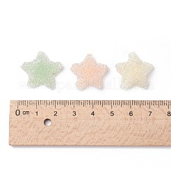 Resin Cabochons&nbsp;CRES-Q213-02