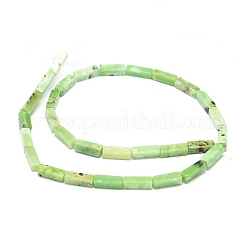 Natural Serpentine Beads Strands&nbsp;G-G974-05