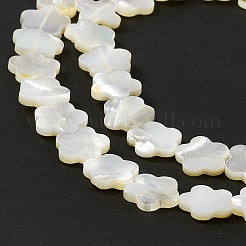 Natural White Shell Beads Strands&nbsp;SHEL-F003-07