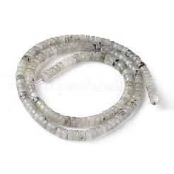 Natural Labradorite Beads Strands&nbsp;G-L528-08