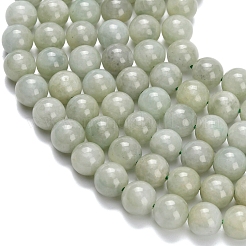 Natural Myanmar Jade/Burmese Jade Beads Strands&nbsp;G-L642-B11-8mm