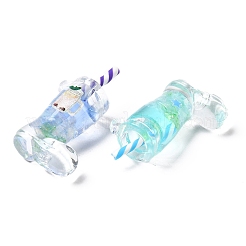 Transparent Acrylic Pendants&nbsp;OACR-M005-01