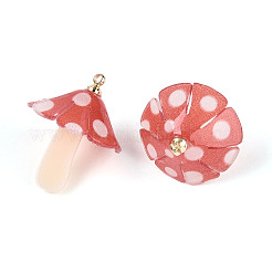 Plastic Pendants&nbsp;KY-N015-118B-01