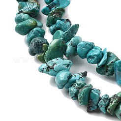 Natural HuBei Turquoise Bead Strands&nbsp;G-H345-A01-01