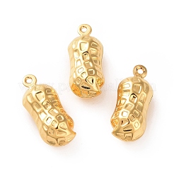 304 Stainless Steel Pendants&nbsp;STAS-C057-06G