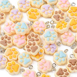 40Pcs 5 Colors Opaque Resin Pendants&nbsp;RESI-CJ0002-31