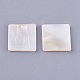 Shell Cabochons&nbsp;BSHE-P026-24-2