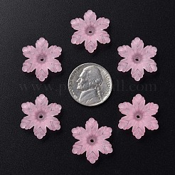 Transparent Acrylic Beads&nbsp;MACR-S373-117-D12