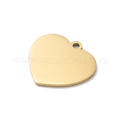 304 Stainless Steel Pendants&nbsp;SA-CBA28C1-03G