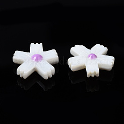 Natural Freshwater Shell Beads&nbsp;SHEL-N003-19E