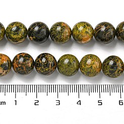 Natural Bumblebee Jasper Beads Strands&nbsp;G-P544-A03-02