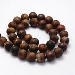 Frosted Natural Tiger Eye Beads Strands&nbsp;G-F364-18-10mm