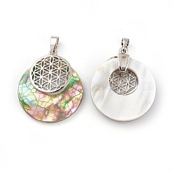 Natural Paua Shell Pendants&nbsp;KK-F751-M-B04