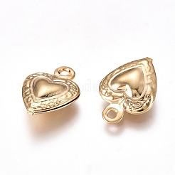 304 Stainless Steel Charms&nbsp;X-STAS-I138-14G