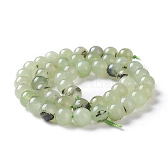 Natural White Jade Imitation Prehnite Beads Strands&nbsp;G-I299-F12-8mm