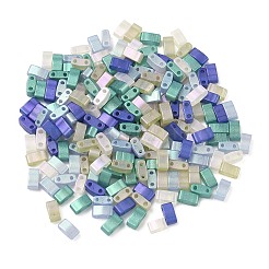 Glass 2-Hole Baking Paint Glass Seed Beads&nbsp;GLAA-G130-01E