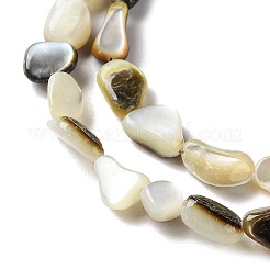 Natural Black Lip Shell Beads Strands&nbsp;SHEL-G020-04