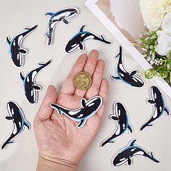 10Pcs Computerized Embroidery Cloth Iron on/Sew on Patches&nbsp;DIY-CY0002-26