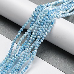 Opaque Baking Paint Glass Beads Strands&nbsp;DGLA-F002-01E