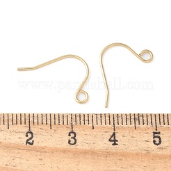 200Pcs 316 Surgical Stainless Steel Earring Hooks&nbsp;STAS-UN0063-40