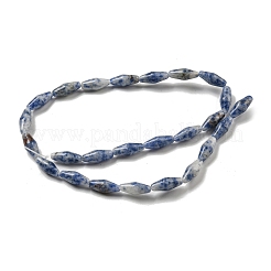 Natural Blue Spot Beads Strands&nbsp;G-A223-A06-01