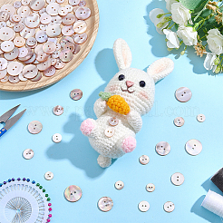 120Pcs 6 Styles Dyed Natural Shell Buttons&nbsp;BUTT-ME0001-42