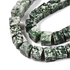 Natural Green Spot Jasper Beads Strands&nbsp;G-T139-8x8-23A