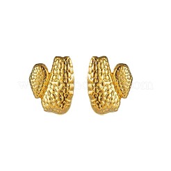 304 Stainless Steel Stud Earrings for Women&nbsp;WGFE882-01