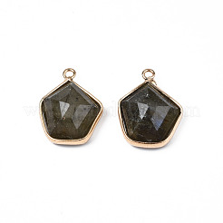 Natural Labradorite Pendants&nbsp;G-S359-381