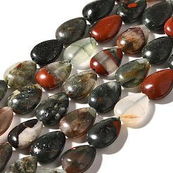 Natural African Bloodstone Beads Strands&nbsp;G-I377-A23