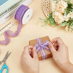 Nylon Pleated Elastic Mesh Lace Ribbon&nbsp;OCOR-WH0086-96C