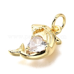 Brass Micro Pave Cubic Zirconia Pendants&nbsp;KK-V011-28G-A