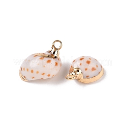 Natural Sea Shell Pendants&nbsp;SSHEL-N038-43