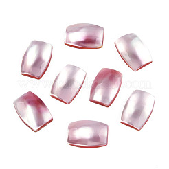 Natural Turbo Cornulus/Top Shells Cabochons&nbsp;SSHEL-N003-153B