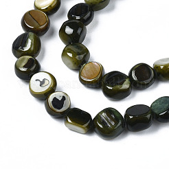 Natural Trochid Shell/Trochus Shell Beads Strands&nbsp;SHEL-S258-083-B01