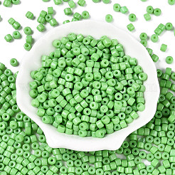 Opaque Baking Paint Glass Seed Beads&nbsp;SEED-T008-02Q