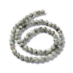 Natural Sesame Jasper/Kiwi Jasper Bead Strands&nbsp;G-R345-6mm-12