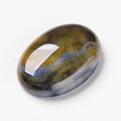 Natural Dragon Veins Cabochons&nbsp;X-G-F296-05-18x25mm